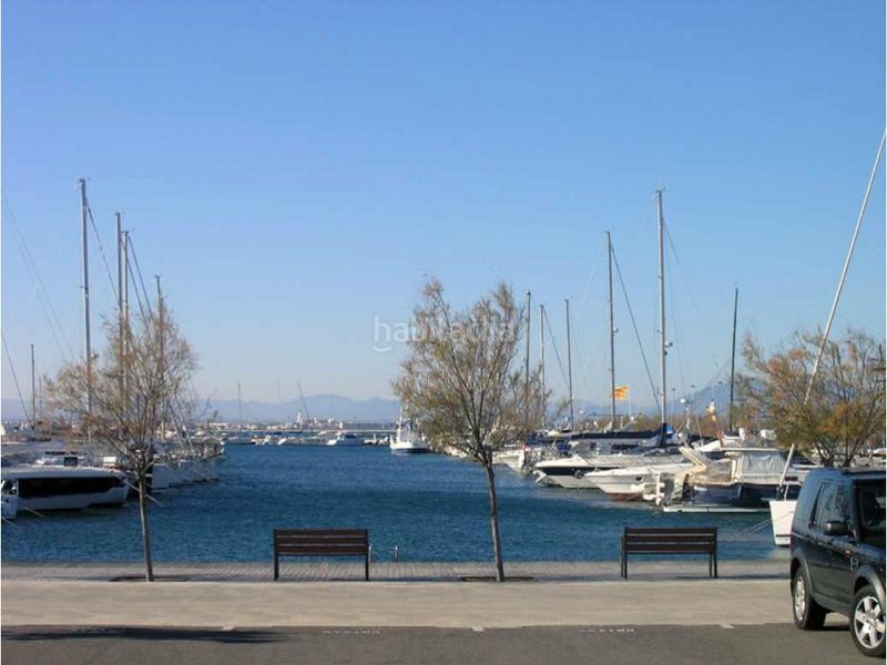 Foto 671ffc4a-e11b-4c78-a98f-d16198bf28ea. Pis a Salatar Roses