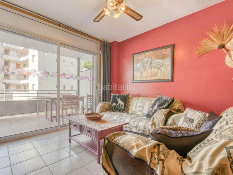 Foto 69ff97f8-d737-4745-aec9-46ec11b65123. Pis a Salatar Roses