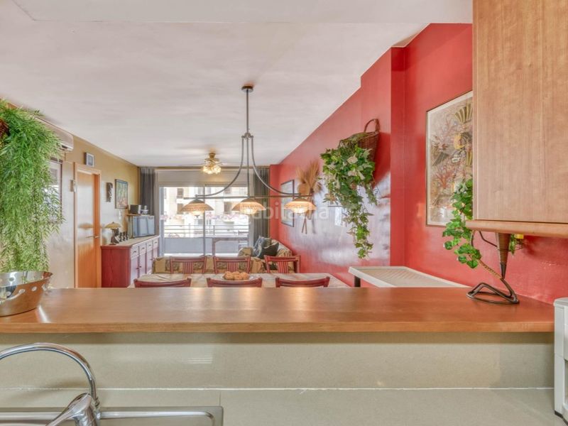 Foto 6dc8fd75-5602-4fd1-8e36-8060d5857ba9. Pis a Salatar Roses