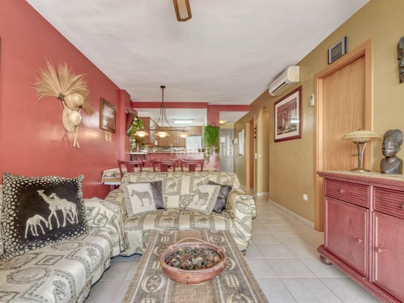 Foto 84f26e96-89c5-4726-8472-ce3eb8f548e9. Pis a Salatar Roses