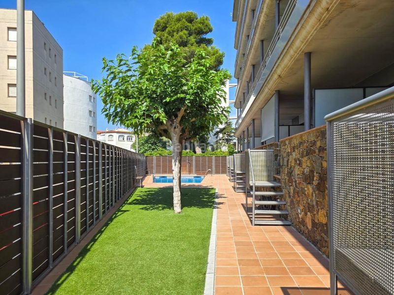 Foto 9ce197ae-c361-4701-b396-baaeb4701d09. Pis a Salatar Roses