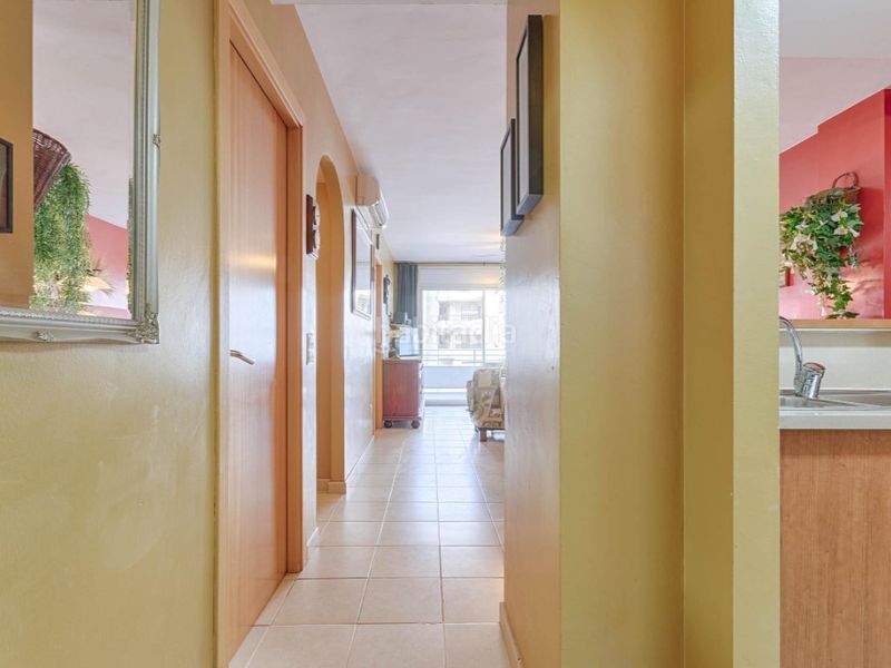 Foto c85cc514-c238-4471-ac31-d88c166fc23f. Pis a Salatar Roses