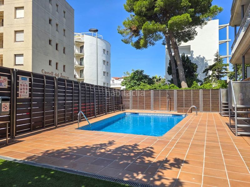 Foto ed586c7a-7d01-4270-8759-8ba591f8f451. Pis a Salatar Roses