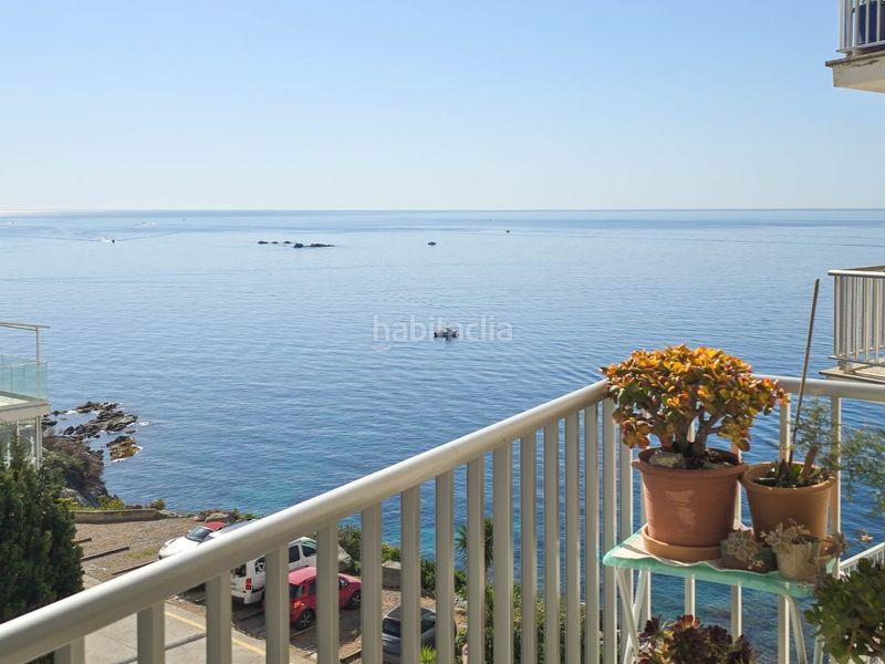 Foto fdd239b1-7484-42f3-bfde-3f7c9f6a644e. Pis a Puig Rom-Canyelles-Almadrava Roses