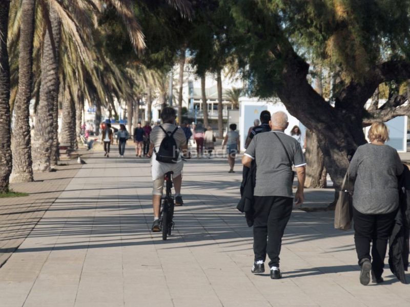 Foto 58444fda-ca1b-474a-a12f-795bbffdd002. Pis a Puig Rom-Canyelles-Almadrava Roses