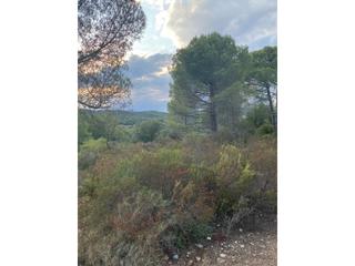 Finca rústica  N/a. Terreno rústico en la bisbal dempordà