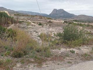 Finca rústica  Partida palmisar. Terreno rústico en zona secanet, villajoyosa