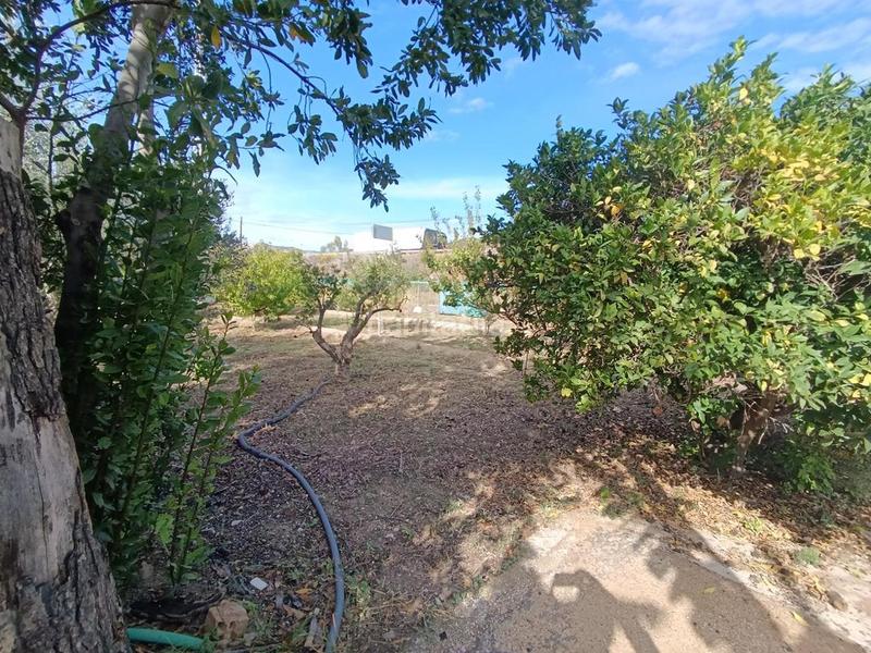 Foto 4487f526-b1ca-4926-a998-f4edf0520651. Masia a El Secanet-Hacienda del Sol Vila Joiosa (la)