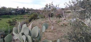 Masia  Partida sentenilla. Casa rstica con terreno en partida sentenilla, la nuca