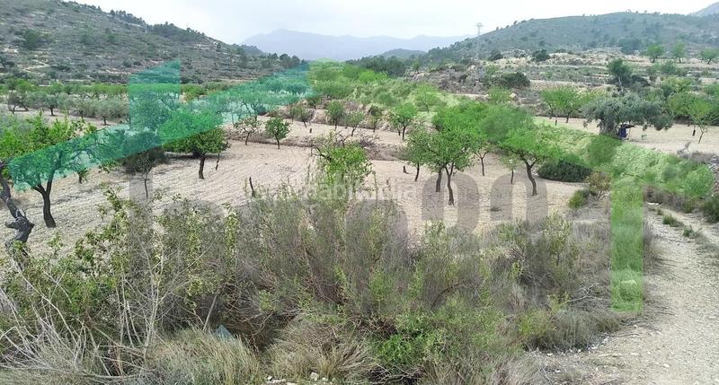 Foto 45f61b20-8bb5-4982-9459-824bd015a2be. Terreny residencial a Relleu