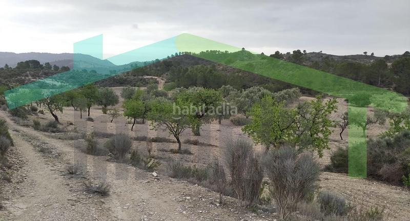 Foto 6d72ac3f-a371-4de9-804f-e1924dc3bfe9. Terreny residencial a Relleu