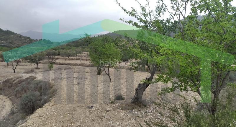 Foto 7f3fff5d-28fd-459a-b8f4-0bdacf74ad35. Terreny residencial a Relleu