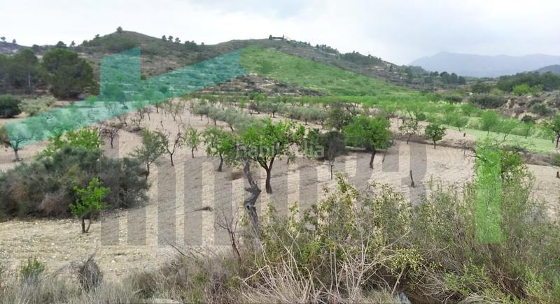 Foto 03378ff3-afca-4286-802b-608921edde13. Terrain résidentiel dans Relleu