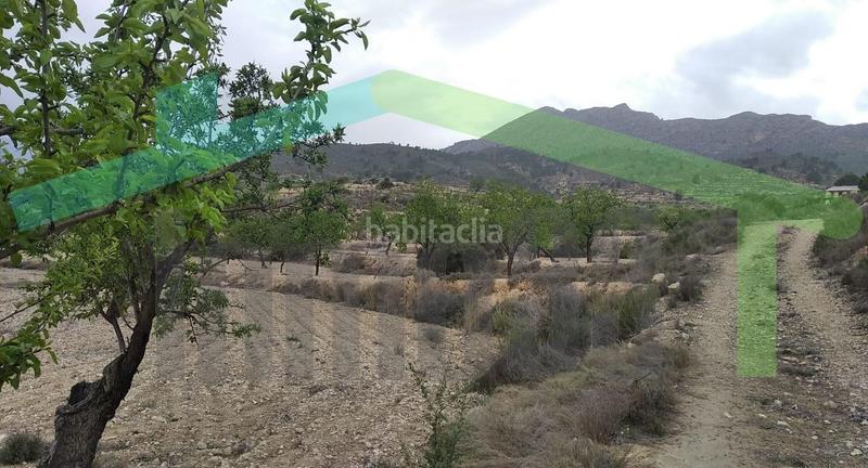 Foto 842563f3-d2d6-4144-a93a-e1c87fd226de. Terrain résidentiel dans Relleu