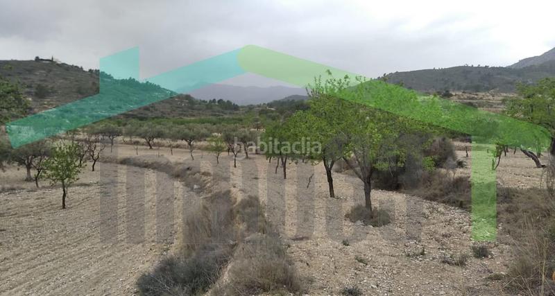 Foto a4a36a9d-83c3-4a11-90e3-b882a2f12505. Terrain résidentiel dans Relleu