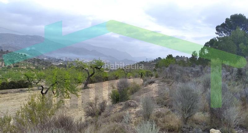 Foto 1c07df00-62a2-4426-9feb-4b72fe7858ed. Terreno residencial en Relleu