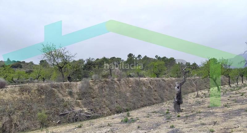 Foto 45dd4726-3731-4f55-8537-feeb90fe1387. Terreno residencial en Relleu