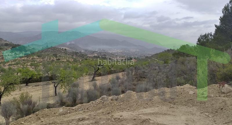 Foto 4b3d7e4e-e686-4e2f-b4e8-aa988e4c5b7c. Terreno residencial en Relleu
