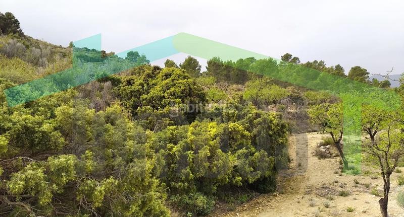 Foto 7c7cb834-6916-4d3c-9bba-c7c1bca7a3e2. Terreno residencial en Relleu