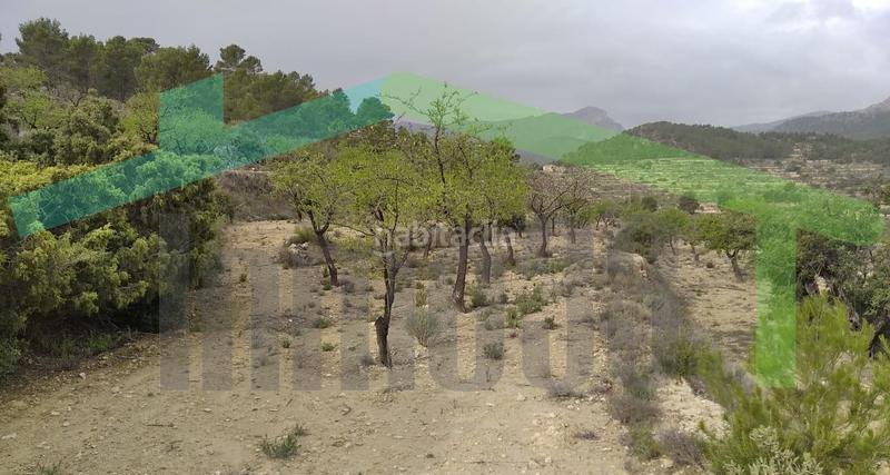 Foto 997ac4c6-f937-431a-9fd3-40d5c14baffa. Terreno residencial en Relleu