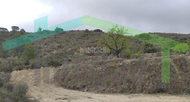 Foto a2d12e3b-ab1c-4739-84b0-3b5785ae864d. Terreno residencial en Relleu