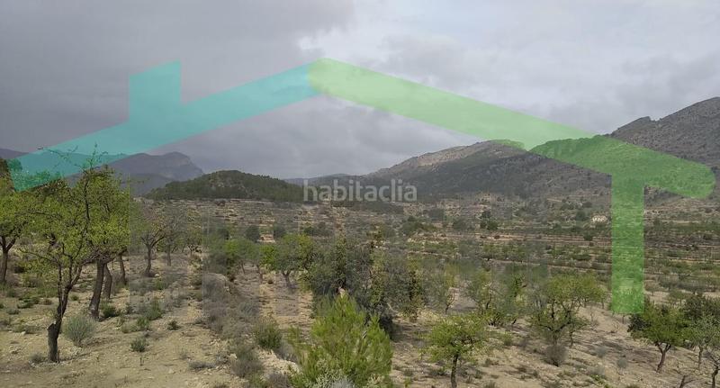 Foto a705c9af-2242-48bc-af0d-9defed4e962b. Terreno residencial en Relleu