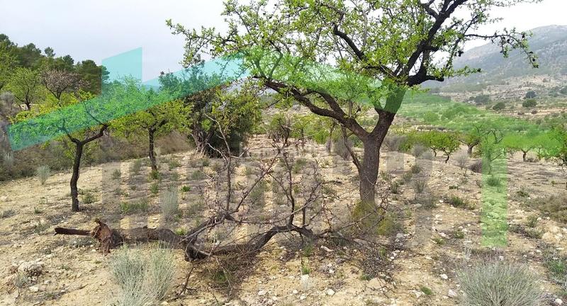 Foto c0a8ad8a-68e9-4550-b164-e902271b09b9. Terreno residencial en Relleu