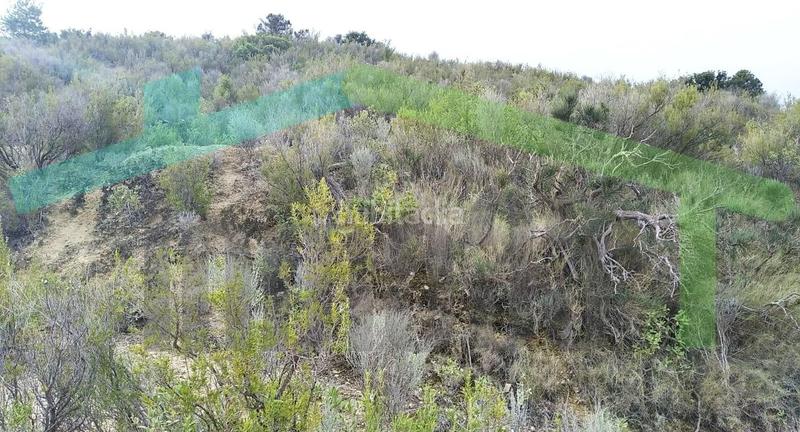 Foto d1dca8aa-2adf-41b1-b4cd-3520641a59ab. Terreno residencial en Relleu