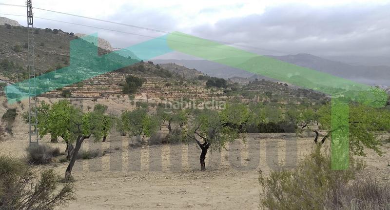 Foto d296ee8f-8261-4629-a91b-26d1622d2d11. Terreno residencial en Relleu