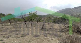 Terreno residenziale in Partida Senia de d'Alt