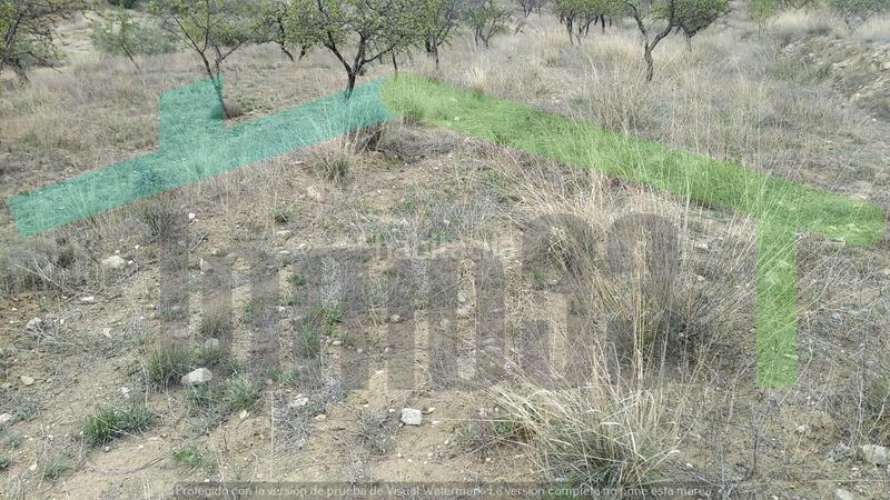 Foto ccc75c71-346a-497e-b89c-932533534e3f. Masía en Relleu