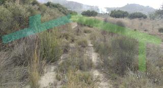 Masia  Partida bortolons