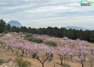Masia  Partida surques. Finca con casa y produccin en relleu, alicante
