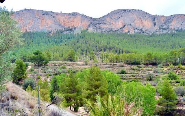 Foto 5ab51e4c-ac68-4784-a4b9-8fa859d3d2f7. Masia a Sella