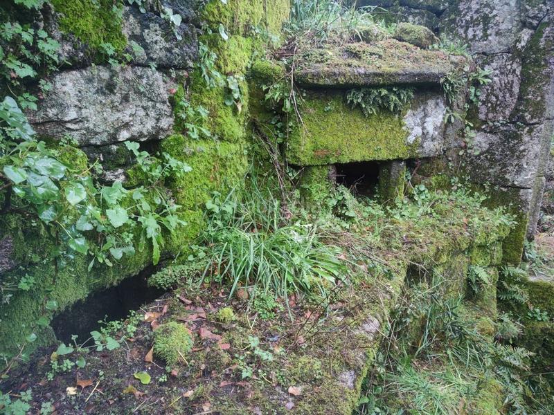 Foto 2fd65528-08fb-4343-a02f-fb1295cee140. Landgut in Ponte - Caldelas