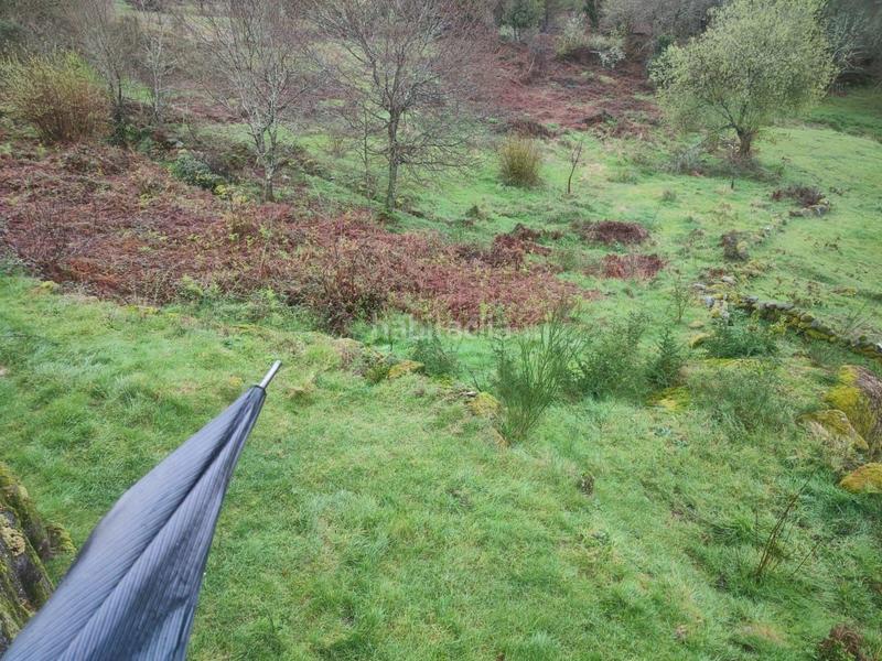 Foto 8df7ae55-d948-45d4-a6d8-81a1a602cec4. Landgut in Ponte - Caldelas