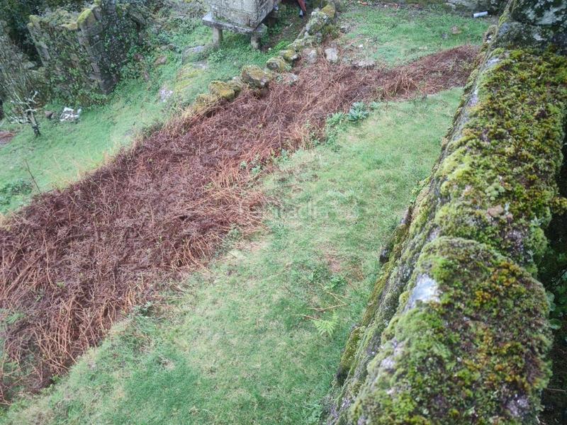 Foto 98f14c26-2fe1-4433-9abe-8cde08453994. Landgut in Ponte - Caldelas