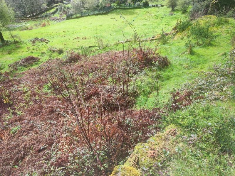 Foto b17b1970-a076-4325-bc1f-ba28c6bf4ff8. Landgut in Ponte - Caldelas