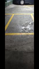 Car parking in Camelias