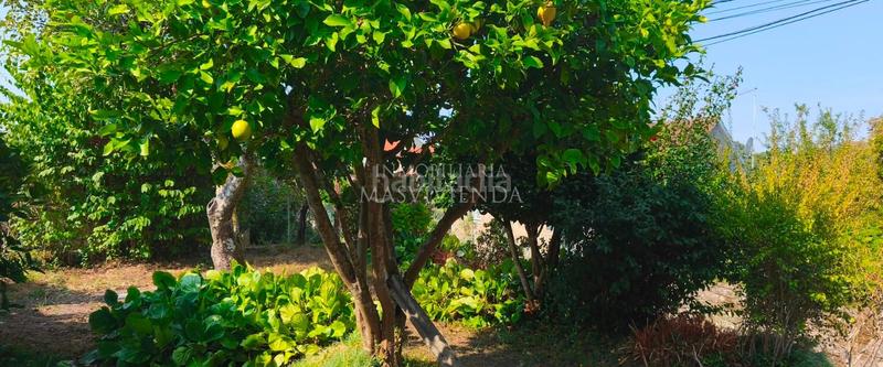 Foto 24ec490b-c7ae-4cd7-a551-a983be7903dc. Casa a Ponte - Caldelas