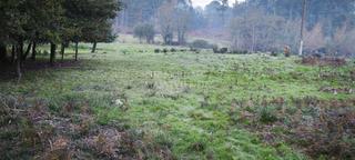 Terreny residencial  Arrotea (a)-pontellas. Interesante terreno en pontellas para nave o vivienda