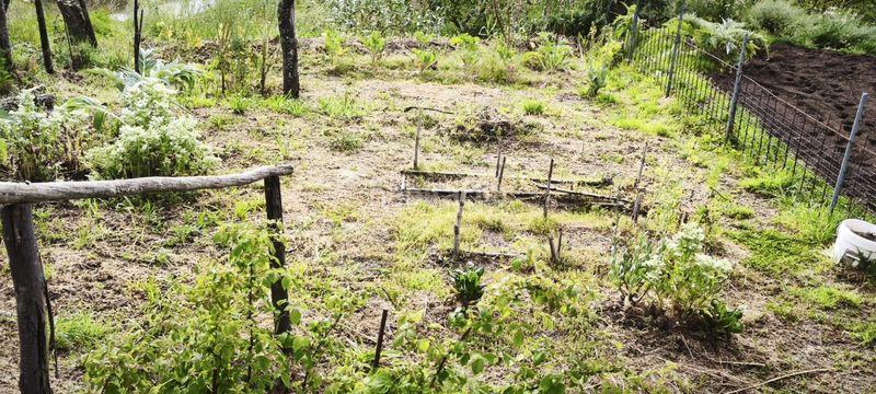 Foto 17143497-7716-4b6f-8cb4-a3d56d121c03. Casa a Crecente