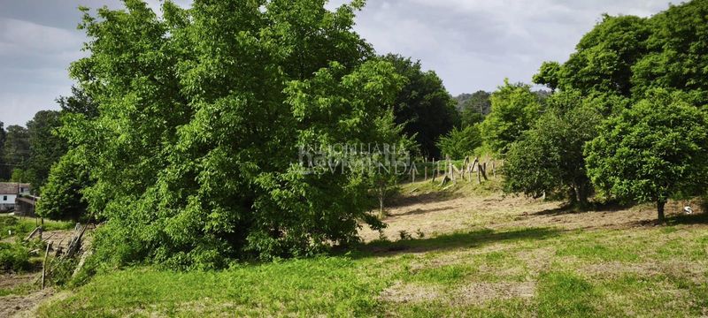 Foto 5ff1aa6f-c433-4342-8719-fa8d60086580. Finca rústica precioso terreno edificable en Mos