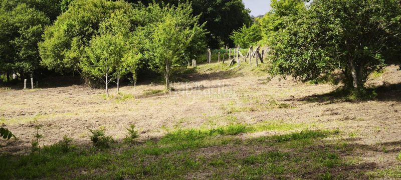 Foto e637dd31-e6e3-423f-bd1b-cc629e68dd15. Finca rústica precioso terreno edificable en Mos