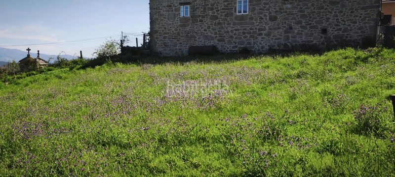 Foto 3715b013-2c0a-4fc0-8916-243ef49d42c7. Terreny residencial a Lama (A)