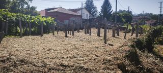 Finca rústica en Agro (O)-Parderrubias