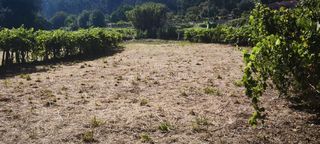 Finca rústica en Presa (A)-Parderrubias