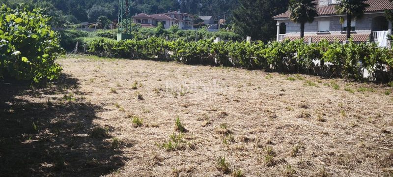 Foto b0351d75-2494-4bce-bde3-c4df7ae5bfd0. Finca rústica a Salceda de Caselas
