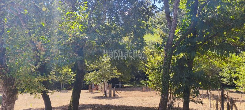 Foto 5625b58d-8b43-4541-8be0-2a9e3c77c0e6. Casa a Salceda de Caselas