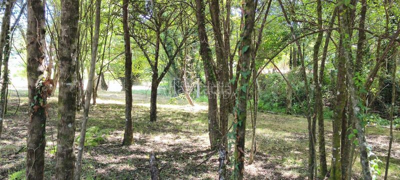 Foto bc78f15d-5583-4c47-9da3-ce9f1c5e85b9. Casa a Salceda de Caselas